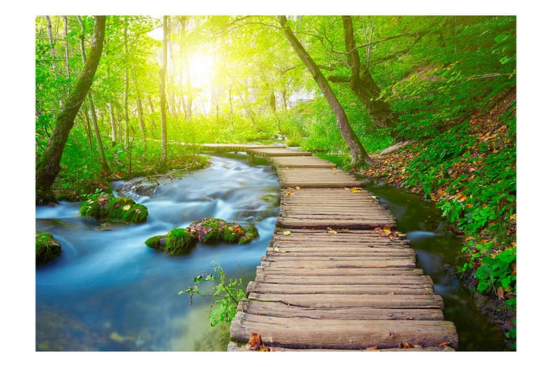 Fototapet Green Forest 250x175 - Artgeist sp. z o. o. - Innredning - Veggdekorasjon - Tapeter - Fototapeter