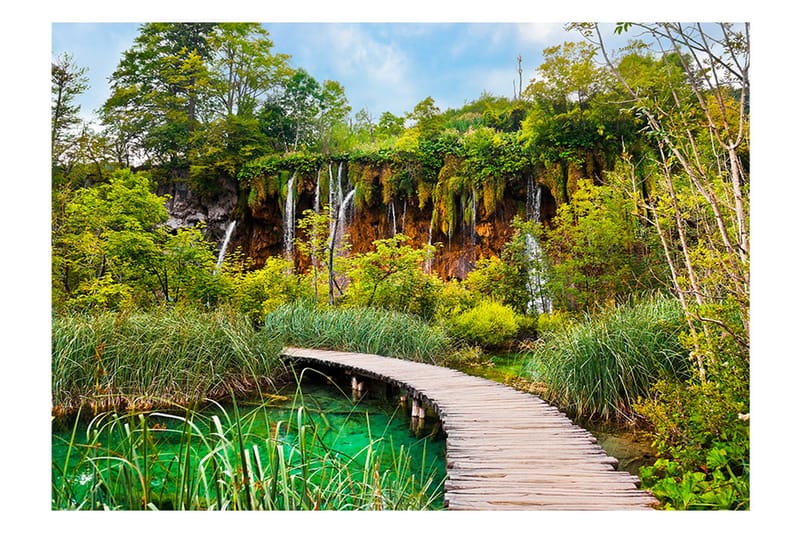 Fototapet Green Oasis 250x175 - Artgeist sp. z o. o. - Innredning - Veggdekorasjon - Tapeter - Fototapeter