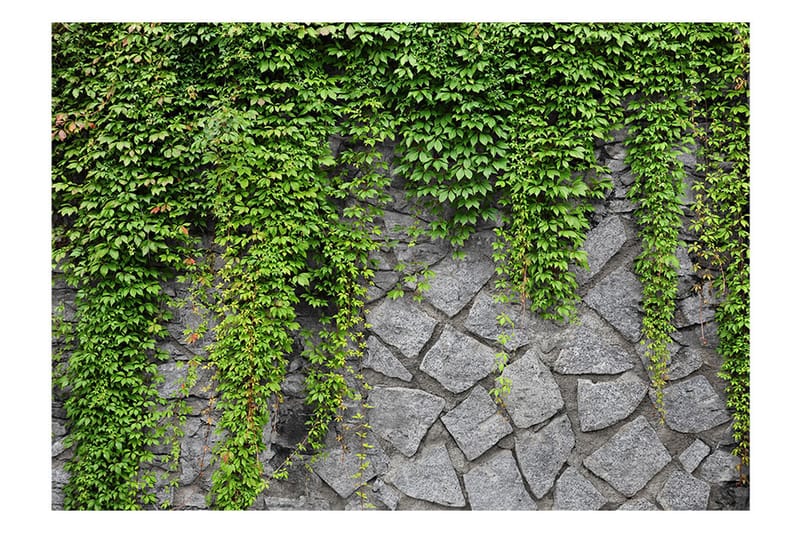 Fototapet Green Wall 350x245 - Artgeist sp. z o. o. - Innredning - Veggdekorasjon - Tapeter - Fototapeter