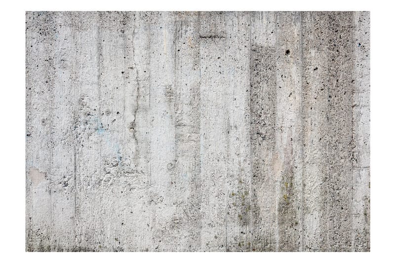 Fototapet Grey Emperor 100x70 - Finnes i flere størrelser - Innredning - Veggdekorasjon - Tapeter - Fototapeter