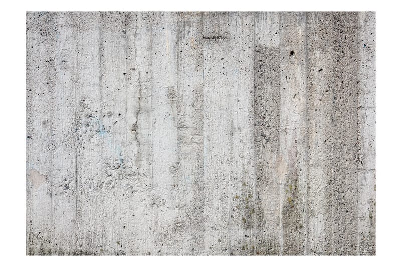 Fototapet Grey Emperor 100x70 - Innredning - Veggdekorasjon - Tapeter - Fototapeter
