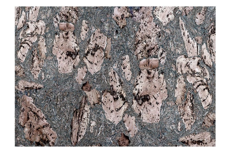 Fototapet Grey Stopper 150x105, Artgeist sp. z o. o.