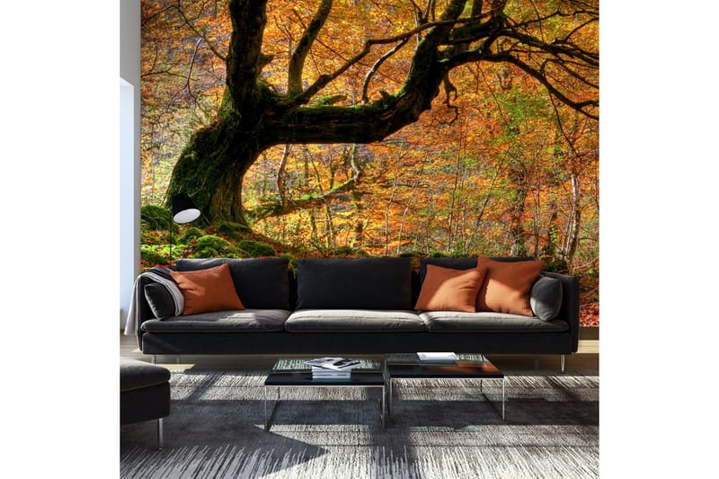 Fototapet Høst Skog Og Løv 450x270, Artgeist sp. z o. o.