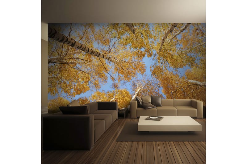 Fototapet Høstlige Tretopper 350x270 - Artgeist sp. z o. o. - Innredning - Veggdekorasjon - Tapeter - Fototapeter