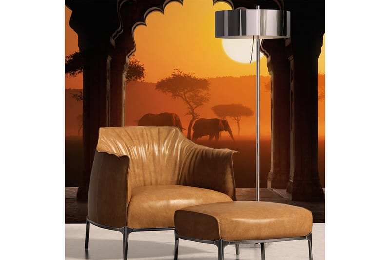 Fototapet Hear Africa 400x309, Artgeist sp. z o. o.