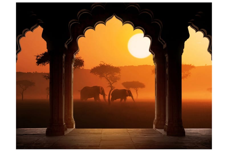 Fototapet Hear Africa 400x309 - Artgeist sp. z o. o. - Innredning - Veggdekorasjon - Tapeter - Fototapeter