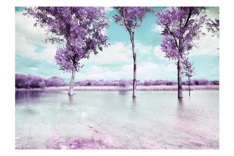 Fototapet Heather Landscape 150x105 - Artgeist sp. z o. o. - Innredning - Veggdekorasjon - Tapeter - Fototapeter