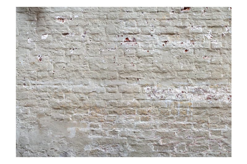 Fototapet Hidden Harmony 100x70 - Artgeist sp. z o. o. - Innredning - Veggdekorasjon - Tapeter - Fototapeter