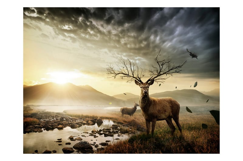 Fototapet Hjort Og Fjellbukk 250x193 - Artgeist sp. z o. o. - Innredning - Veggdekorasjon - Tapeter - Fototapeter