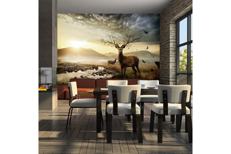 Fototapet Hjort Og Fjellbukk 350x270 - Artgeist sp. z o. o. - Innredning - Veggdekorasjon - Tapeter - Fototapeter