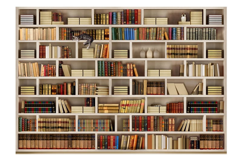 Fototapet Home Library 350x245 - Artgeist sp. z o. o. - Innredning - Veggdekorasjon - Tapeter - Fototapeter