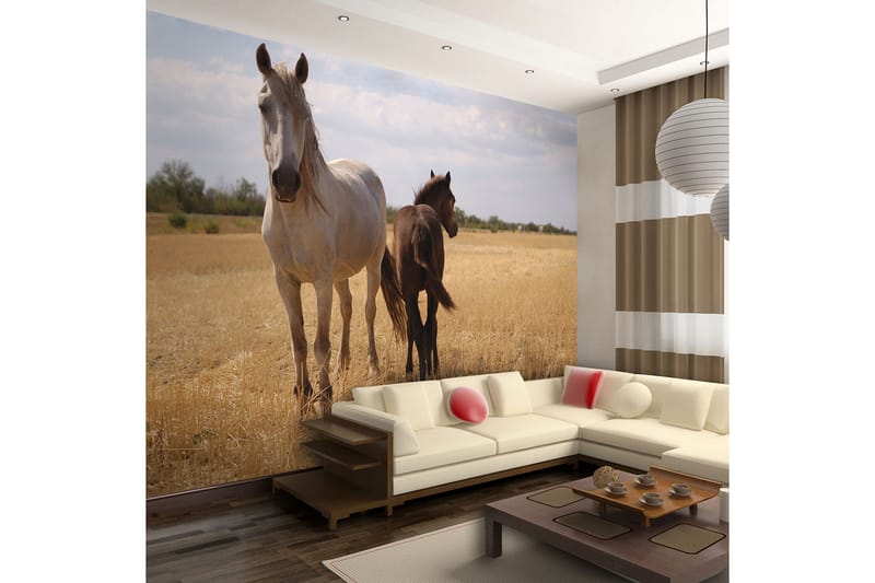 Fototapet Horse And Foal 350x270 - Artgeist sp. z o. o. - Innredning - Veggdekorasjon - Tapeter - Fototapeter