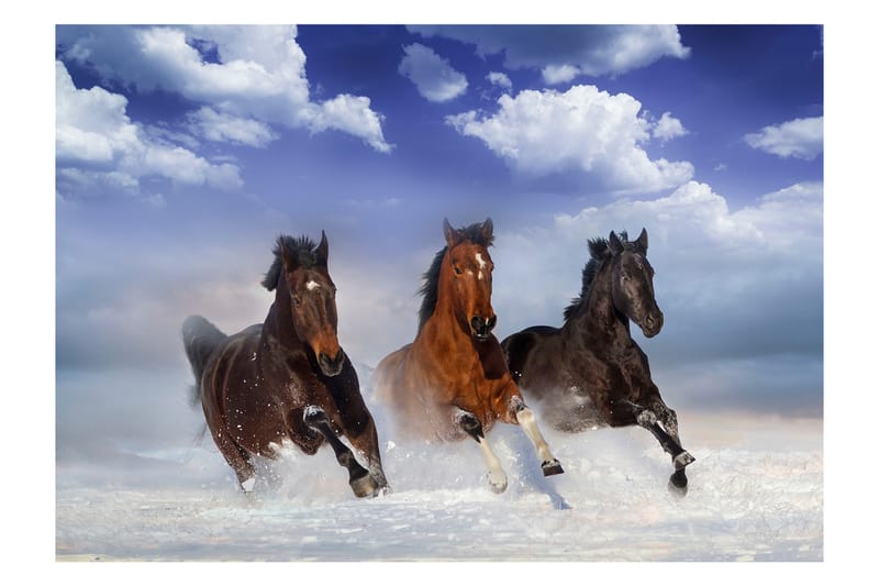 Fototapet Horses In The Snow 400x280 - Artgeist sp. z o. o. - Innredning - Veggdekorasjon - Tapeter - Fototapeter