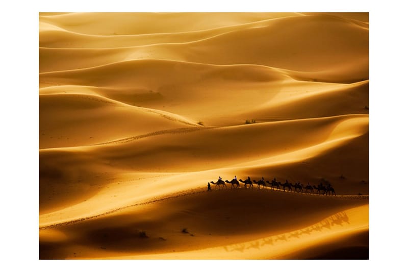 Fototapet Husvogn Av Kameler 300x231 - Artgeist sp. z o. o. - Innredning - Veggdekorasjon - Tapeter - Fototapeter