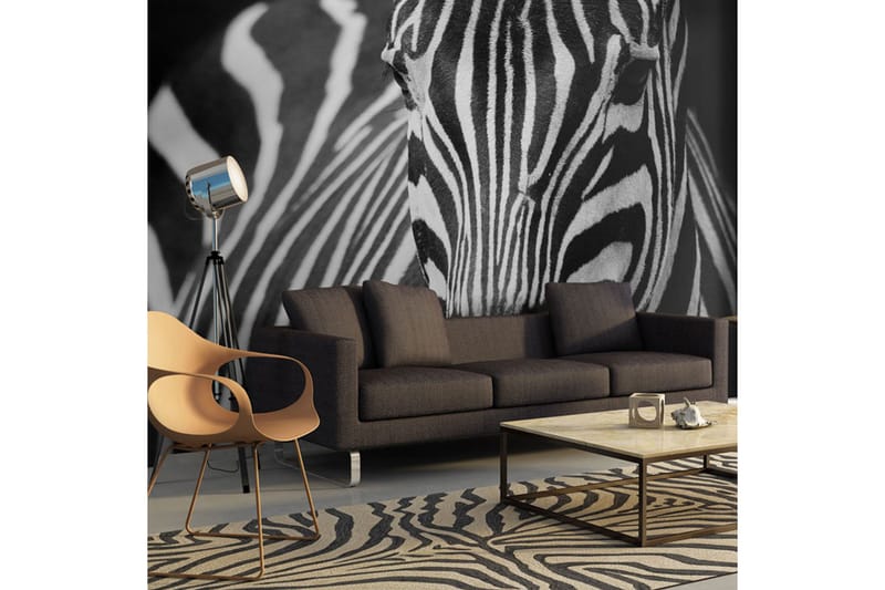 Fototapet Hvit Med Svarte Striper 350x270 - Artgeist sp. z o. o. - Innredning - Veggdekorasjon - Tapeter - Fototapeter