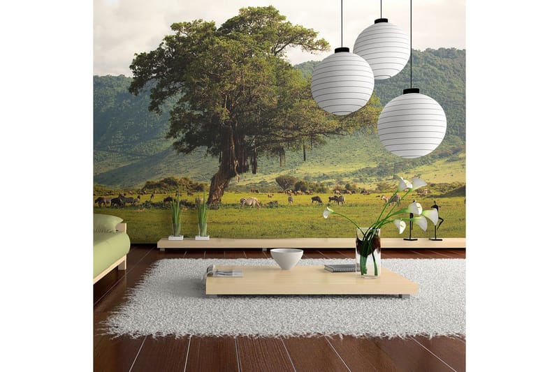 Fototapet I Et krater av Ngoro Ngoro 250x193, Artgeist sp. z o. o.