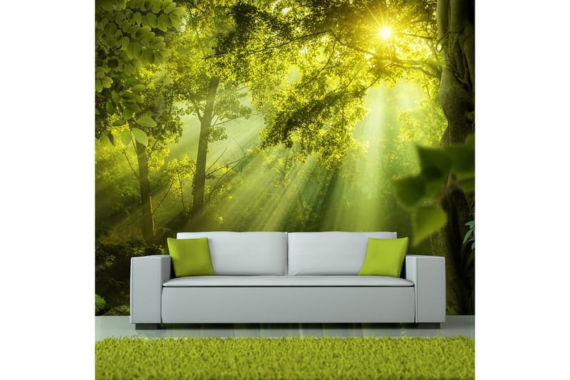 Fototapet In A Secret Forest 150x105, Artgeist sp. z o. o.