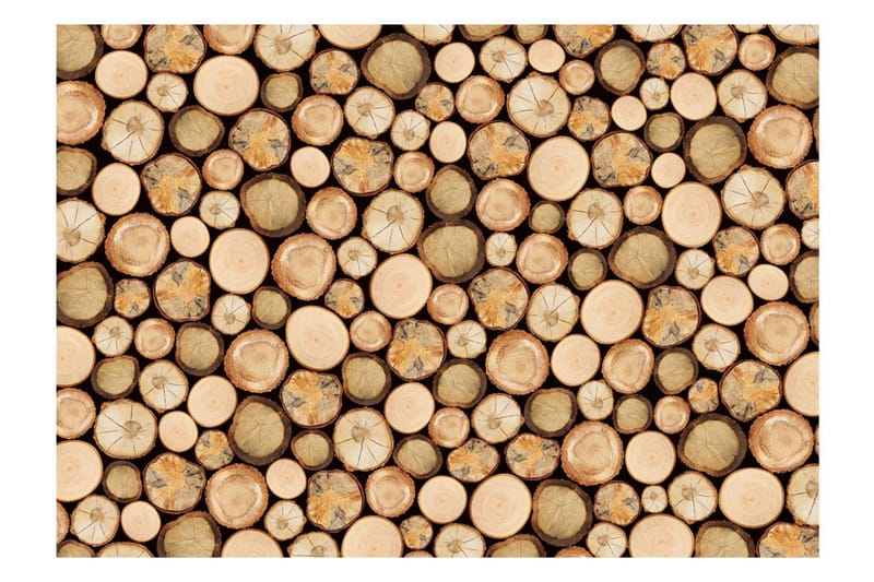 Fototapet In Sawmil 250x175 - Artgeist sp. z o. o. - Innredning - Veggdekorasjon - Tapeter - Fototapeter