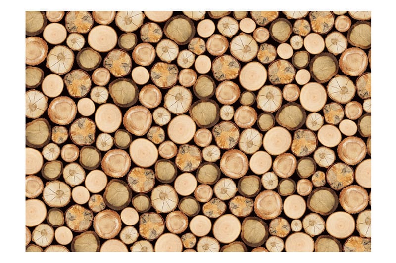 Fototapet In Sawmill 400x280 - Artgeist sp. z o. o. - Innredning - Veggdekorasjon - Tapeter - Fototapeter