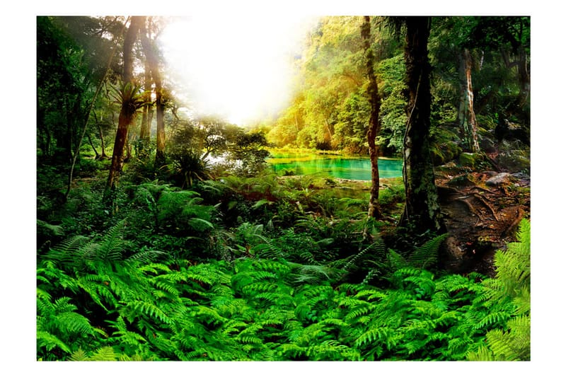 Fototapet In Tropics 400x280 - Artgeist sp. z o. o. - Innredning - Veggdekorasjon - Tapeter - Fototapeter