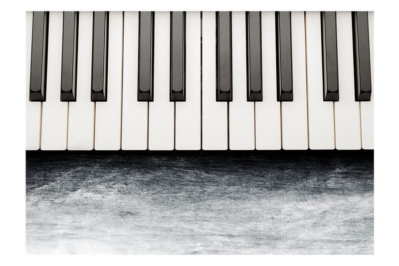 Fototapet Inspired By Chopin Grey Stone 400x280 - Artgeist sp. z o. o. - Innredning - Veggdekorasjon - Tapeter - Fototapeter