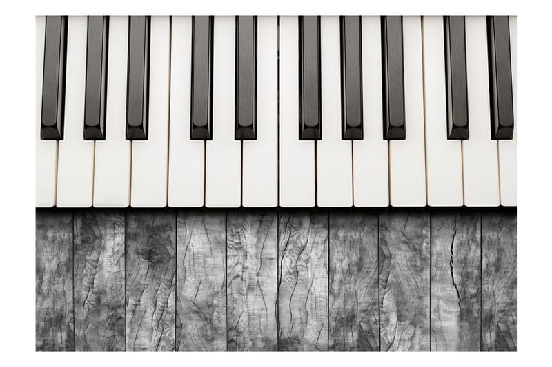 Fototapet Inspired By Chopin Grey Wood 350x245 - Artgeist sp. z o. o. - Innredning - Veggdekorasjon - Tapeter - Fototapeter