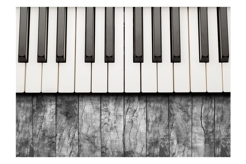 Fototapet Inspirert av Chopin Grey Wood 100x70 - Artgeist sp. z o. o. - Innredning - Veggdekorasjon - Tapeter - Fototapeter