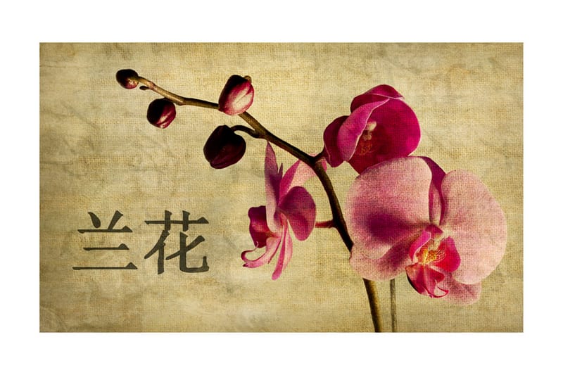 Fototapet Japanese Orchid 450x270 - Artgeist sp. z o. o. - Innredning - Veggdekorasjon - Tapeter - Fototapeter