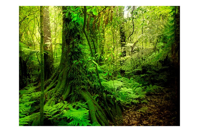 Fototapet Jungle 250x193, Artgeist sp. z o. o.