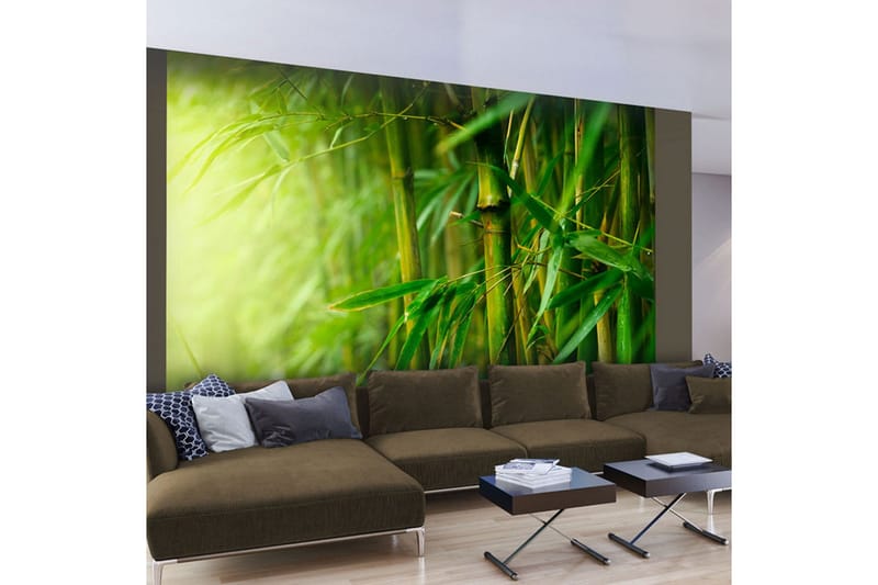 Fototapet Jungle Bamboo 350x270 - Artgeist sp. z o. o. - Innredning - Veggdekorasjon - Tapeter - Fototapeter