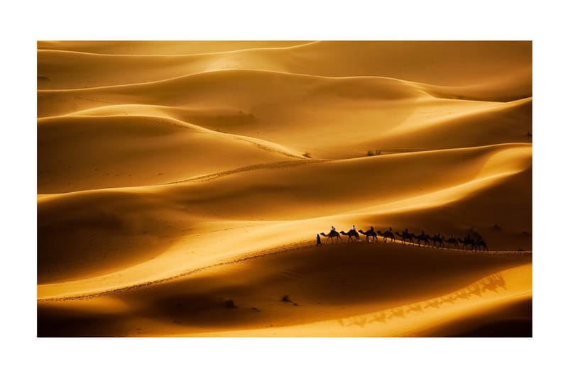 Fototapet Karavan Av Kameler 450x270 - Artgeist sp. z o. o. - Innredning - Veggdekorasjon - Tapeter - Fototapeter