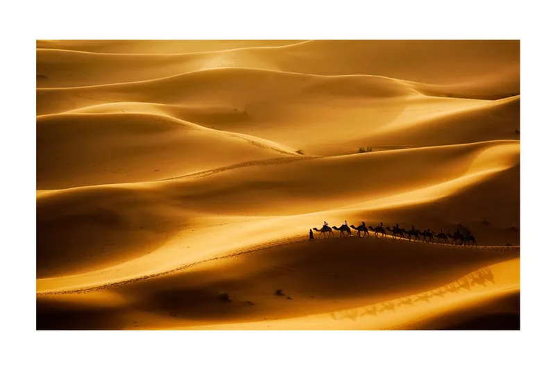 Fototapet Karavan Av Kameler 450x270 - Artgeist sp. z o. o. - Innredning - Veggdekorasjon - Tapeter - Fototapeter