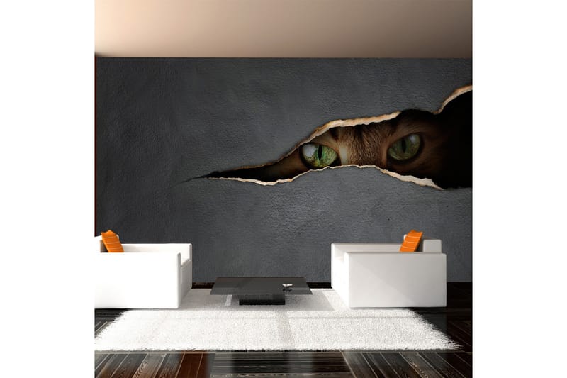 Fototapet Kattens Blikk 450x270, Artgeist sp. z o. o.