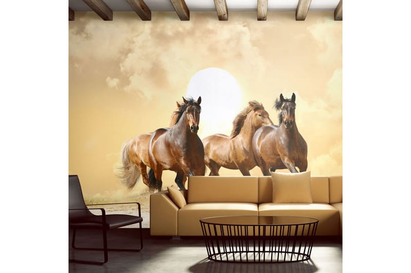 Fototapet Kjøre Hest 350x270 - Artgeist sp. z o. o. - Innredning - Veggdekorasjon - Tapeter - Fototapeter
