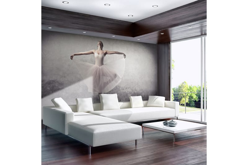 Fototapet Klassisk Dans Poesi Uten Ord 350x270, Artgeist sp. z o. o.