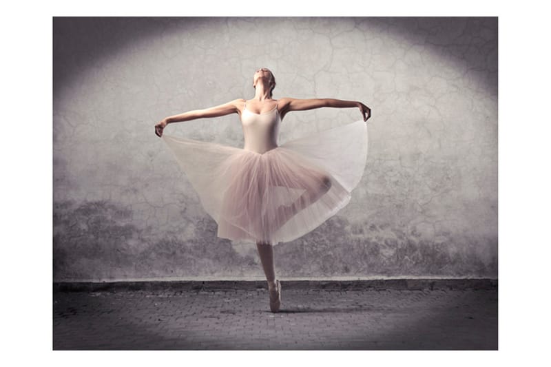 Fototapet Klassisk Dans Poesi Uten Ord 350x270 - Artgeist sp. z o. o. - Innredning - Veggdekorasjon - Tapeter - Fototapeter