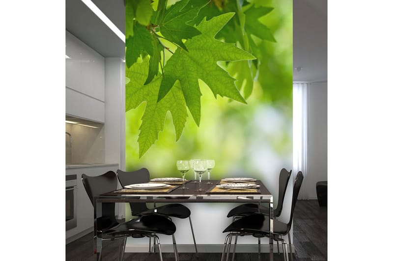 Fototapet Løv Shallow Focus 400x309, Artgeist sp. z o. o.