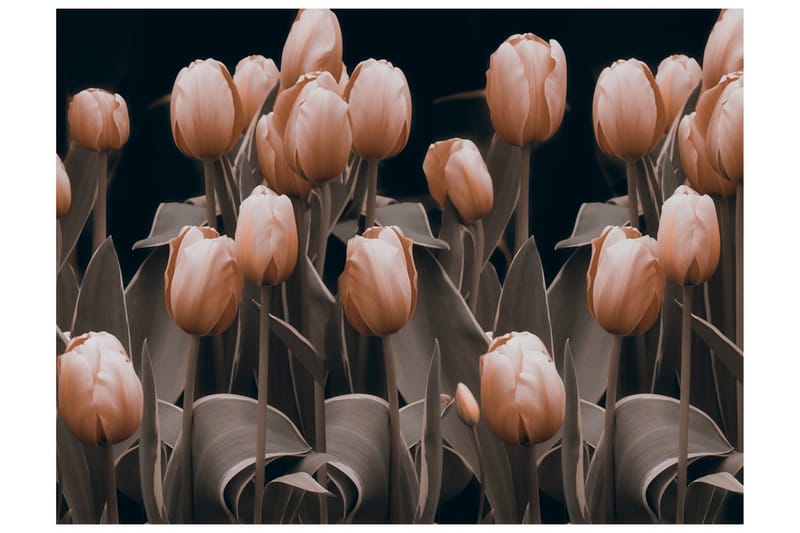 Fototapet Ladies Among The Flowers 350x270 - Artgeist sp. z o. o. - Innredning - Veggdekorasjon - Tapeter - Fototapeter