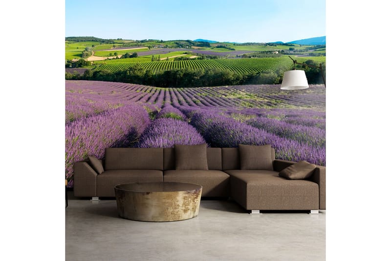 Fototapet Lavender field 200x154, Artgeist sp. z o. o.