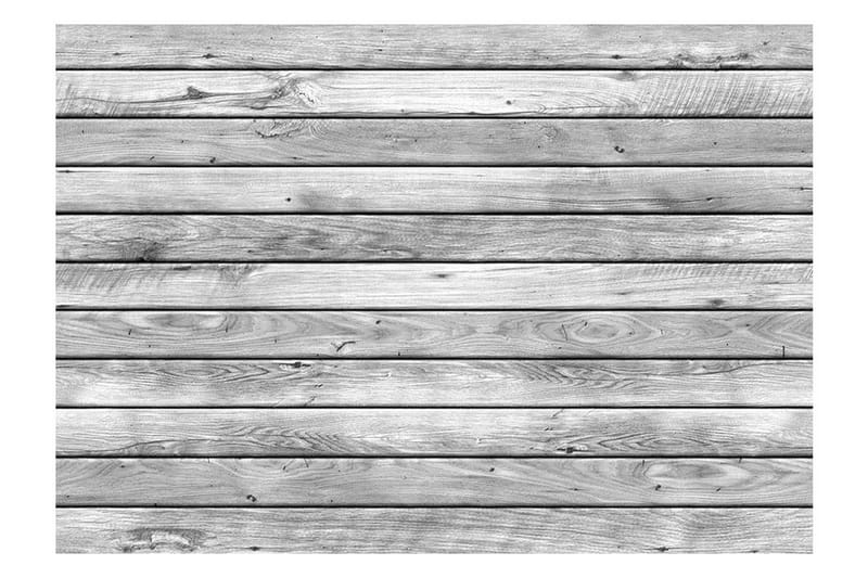 Fototapet Leaden Dawn 200x140 - Innredning - Veggdekorasjon - Tapeter - Fototapeter