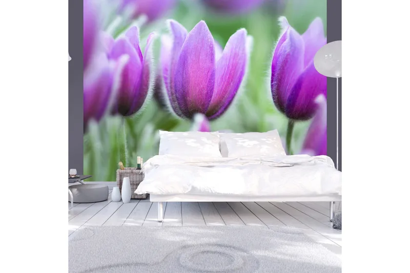 Fototapet Lilla Vår Tulipaner 350x270, Artgeist sp. z o. o.