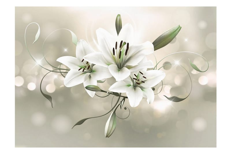 Fototapet Lily Flower Of Masters 350x245 - Artgeist sp. z o. o. - Innredning - Veggdekorasjon - Tapeter - Fototapeter