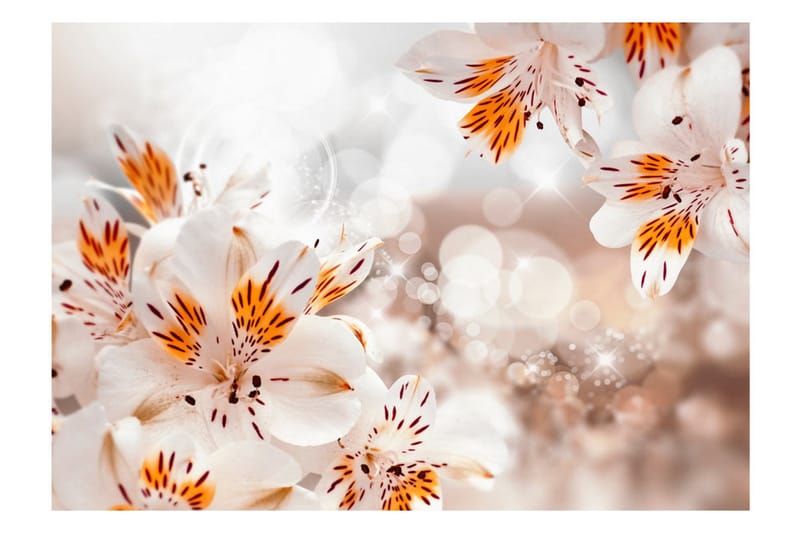 Fototapet Lily Of The Incas 200x140 - Artgeist sp. z o. o. - Innredning - Veggdekorasjon - Tapeter - Fototapeter