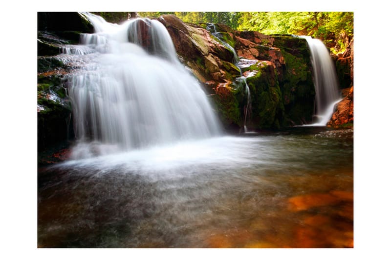 Fototapet Liten Elbe Foss 400x309 - Artgeist sp. z o. o. - Innredning - Veggdekorasjon - Tapeter - Fototapeter