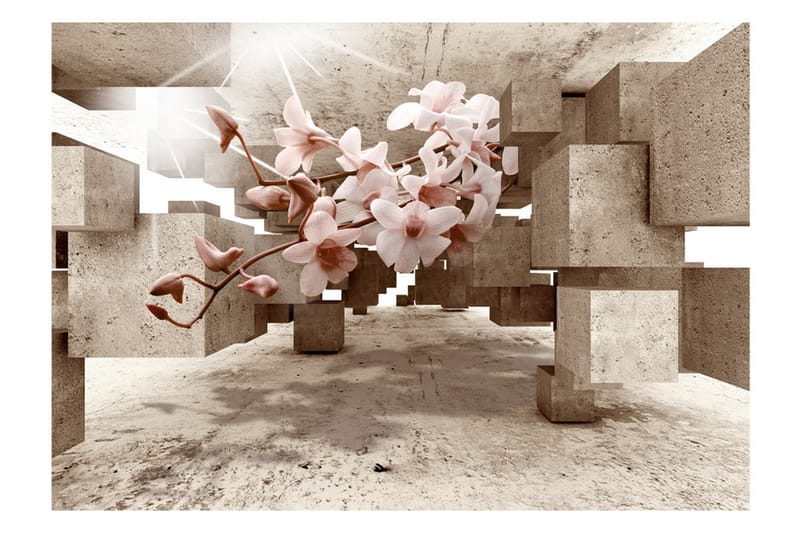 Fototapet Little Miracles 250x175 - Artgeist sp. z o. o. - Innredning - Veggdekorasjon - Tapeter - Fototapeter