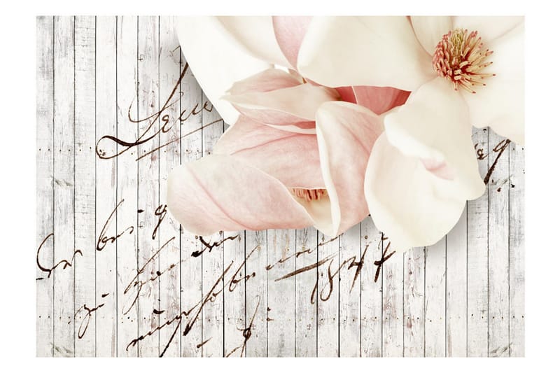 Fototapet Love Letter 200x140 - Artgeist sp. z o. o. - Innredning - Veggdekorasjon - Tapeter - Fototapeter
