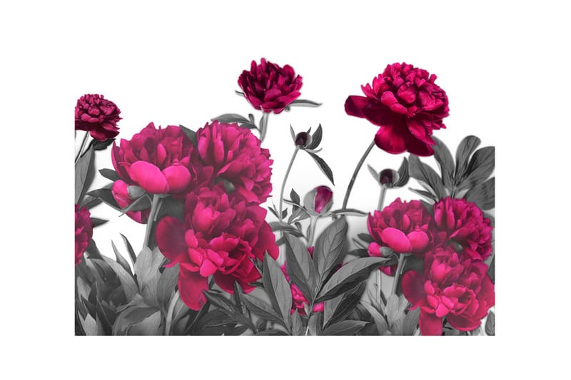 Fototapet Lush Meadow 100x70 - Artgeist sp. z o. o. - Innredning - Veggdekorasjon - Tapeter - Fototapeter