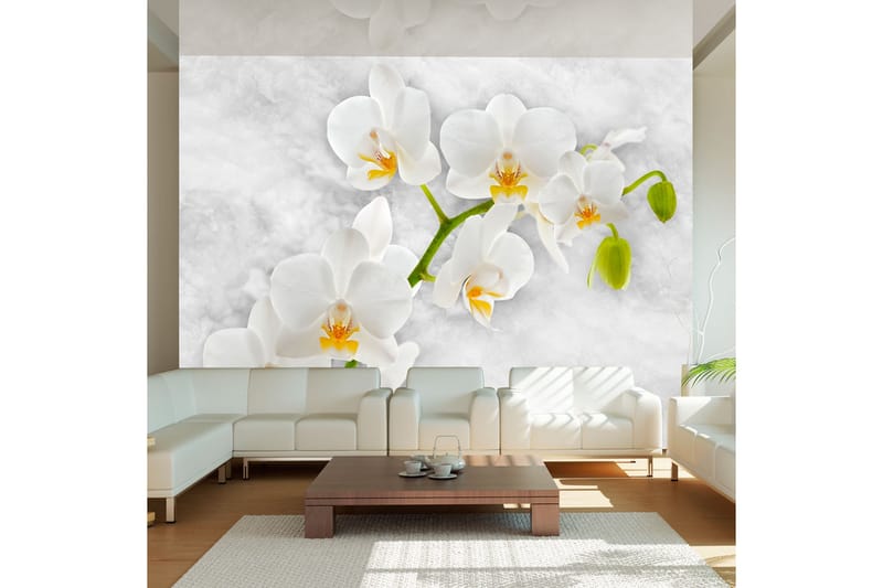 Fototapet Lyrical Orchid White 150x105 - Artgeist sp. z o. o. - Fototapeter