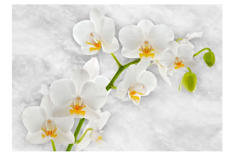 Fototapet Lyrical Orchid White 250x175 - Artgeist sp. z o. o. - Innredning - Veggdekorasjon - Tapeter - Fototapeter