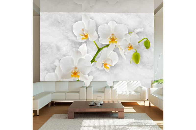 Fototapet Lyrical Orchid White 300x210 - Artgeist sp. z o. o. - Innredning - Veggdekorasjon - Tapeter - Fototapeter